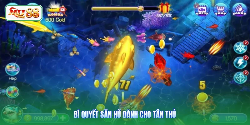 Bí quyết săn hũ dành cho tân thủ