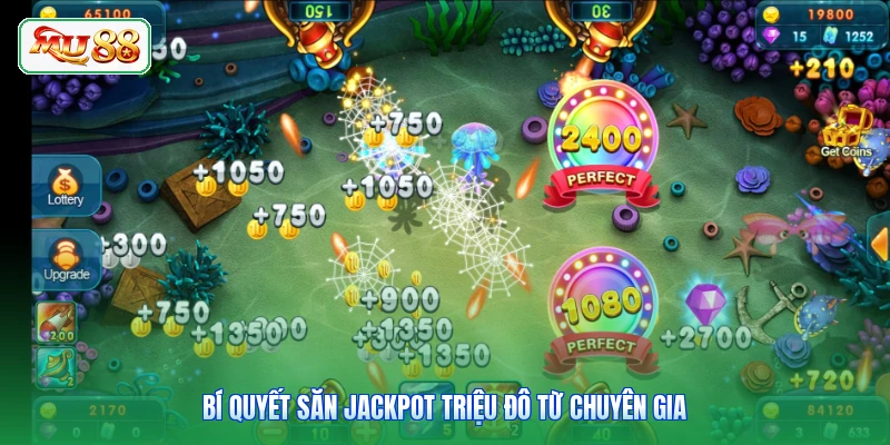 Bí quyết săn jackpot triệu đô từ chuyên gia