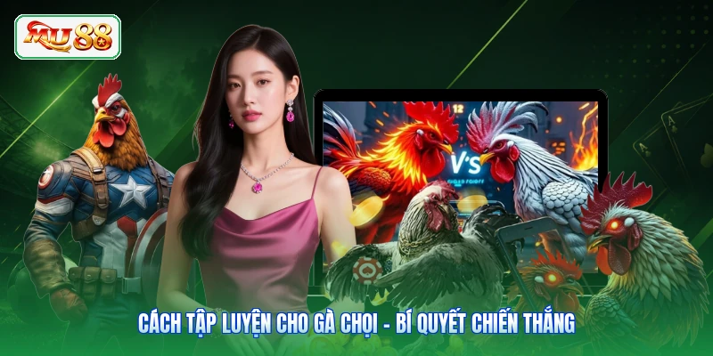 Cách Tập Luyện Cho Gà Chọi - Bí Quyết Chiến Thắng