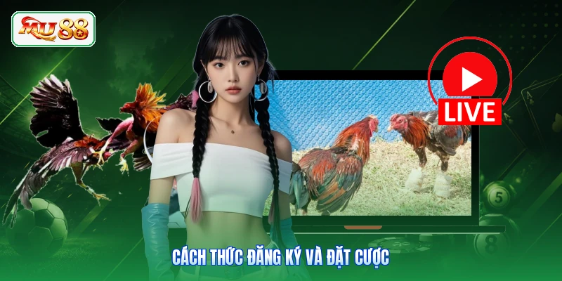 Cách thức đăng ký và đặt cược