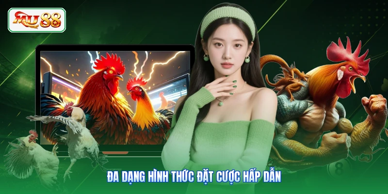 Đa dạng hình thức đặt cược hấp dẫn