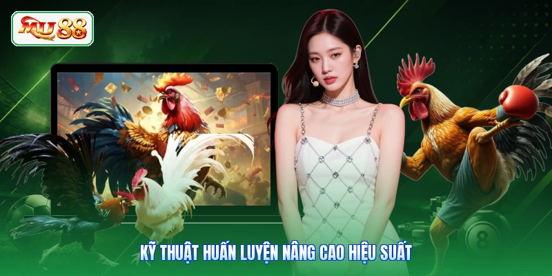 Kỹ thuật huấn luyện nâng cao hiệu suất