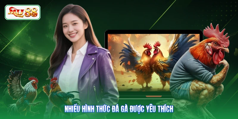 Nhiều hình thức đá gà được yêu thích