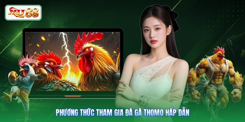 Phương thức tham gia đá gà Thomo hấp dẫn