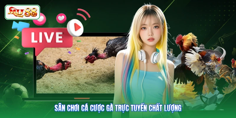 Sân chơi cá cược gà trực tuyến chất lượng