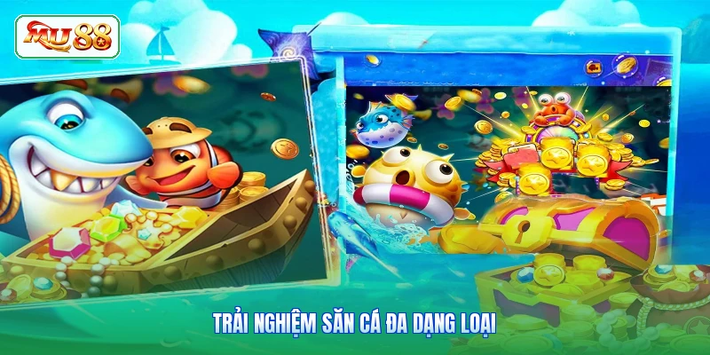 Trải nghiệm săn cá đa dạng loại